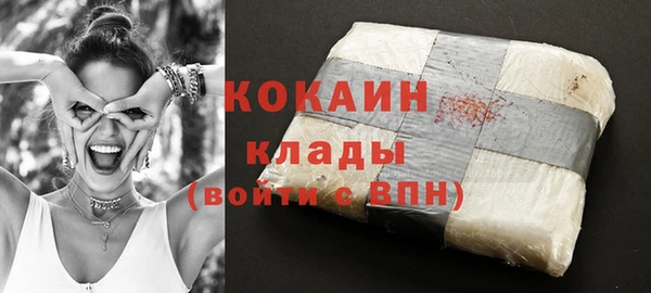 индика Дмитровск