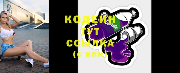 индика Дмитровск