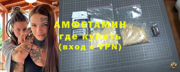 индика Дмитровск