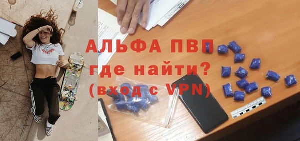 индика Дмитровск