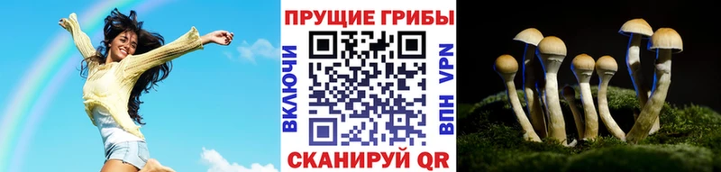 Псилоцибиновые грибы MAGIC MUSHROOMS  MEGA tor  Киреевск 
